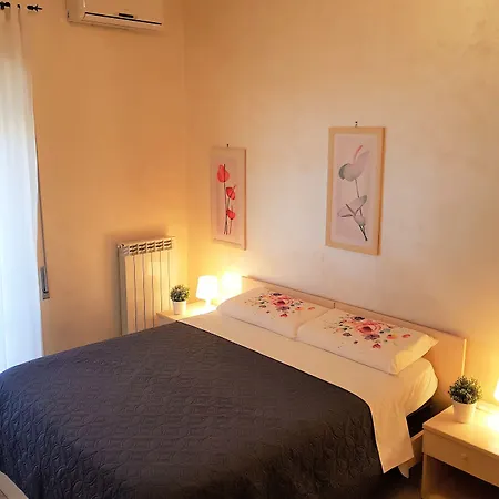 Dodo In בית הארחה 4*