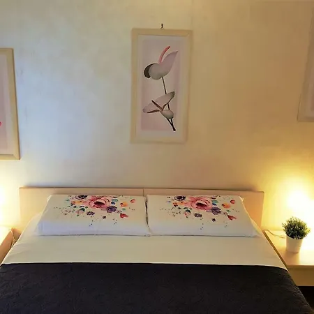 Dodo In Гостевой дом 4*